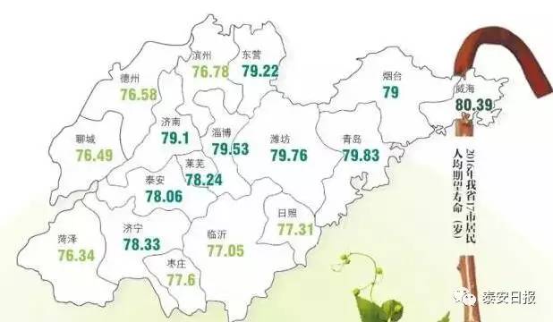 泰安人口分布_泰安常住人口十年增15.96万