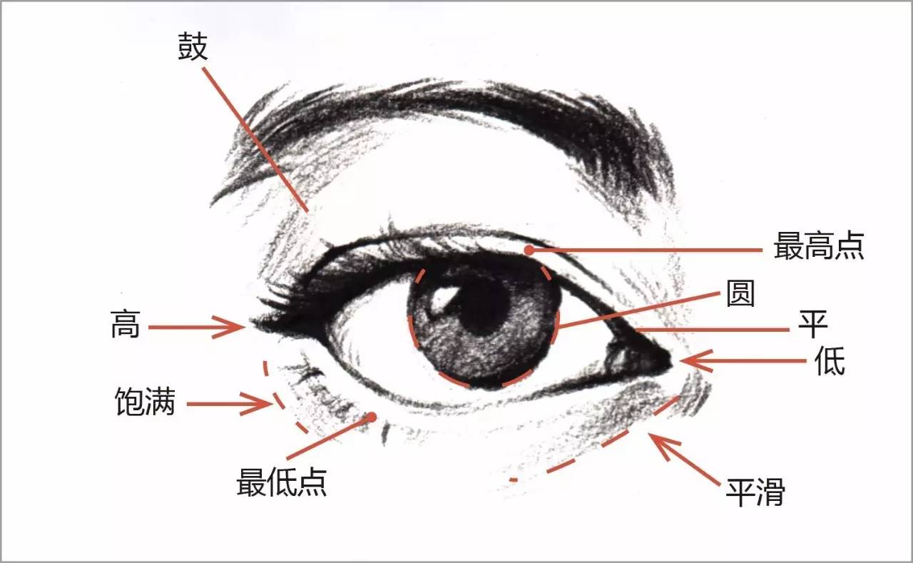 速写五官,是多少美术生的痛点?