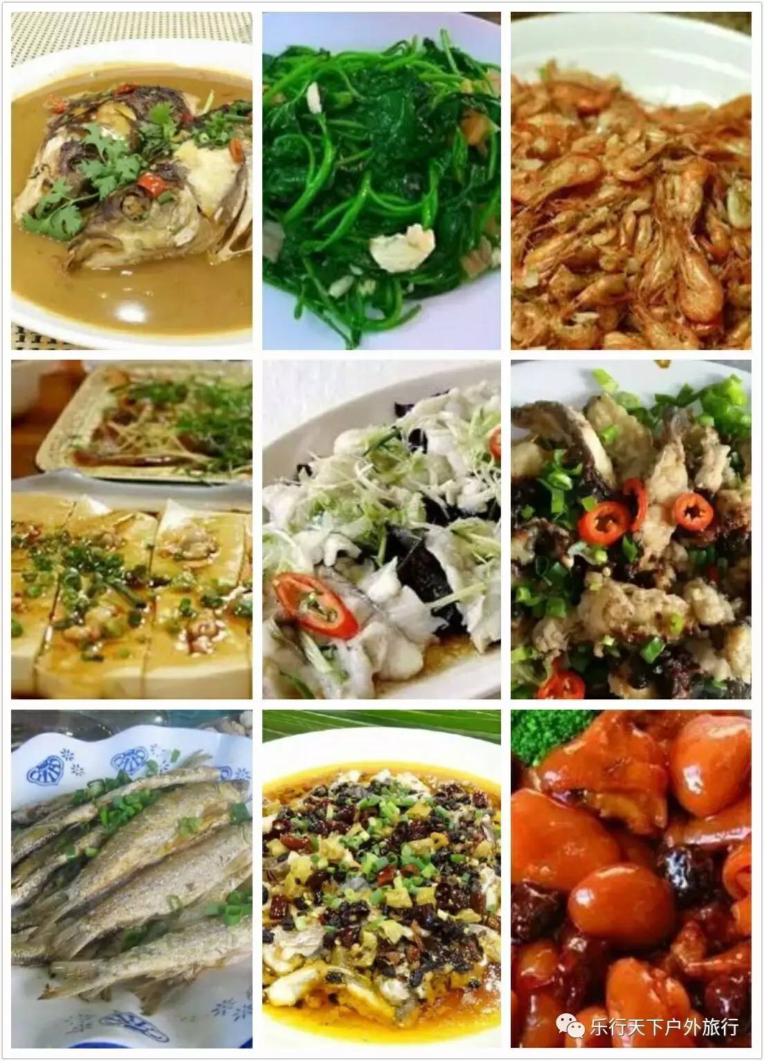 午餐于船上品尝"北江河鲜宴",亲口品尝清远鸡,北江鱼,凝碧虾的鲜美