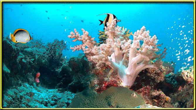 壁纸 海底 海底世界 海洋馆 水族馆 桌面 668_376 gif 动态图 动图