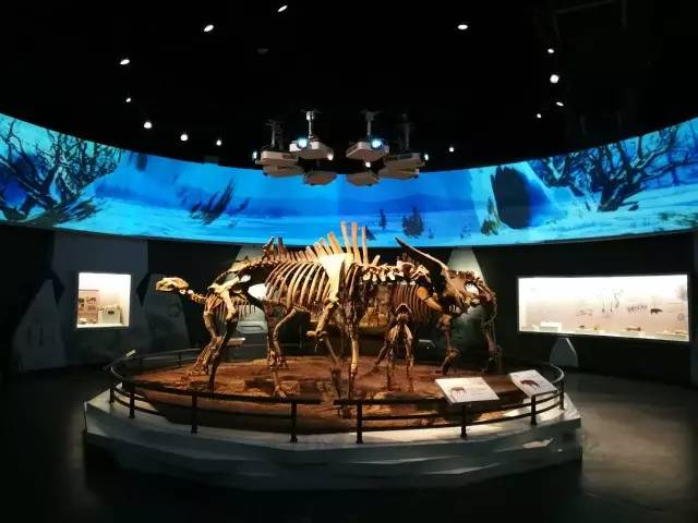 南京直立人化石遗址博物馆