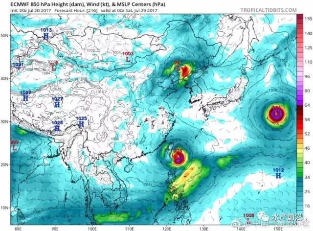 第5号台风"奥鹿,第6号台风"玫瑰"即将生成,会不会影响我国?