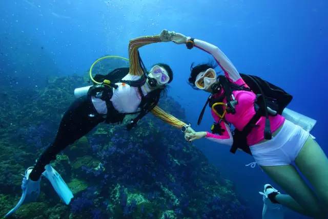 女潜水员为什么都被认为是高智商?