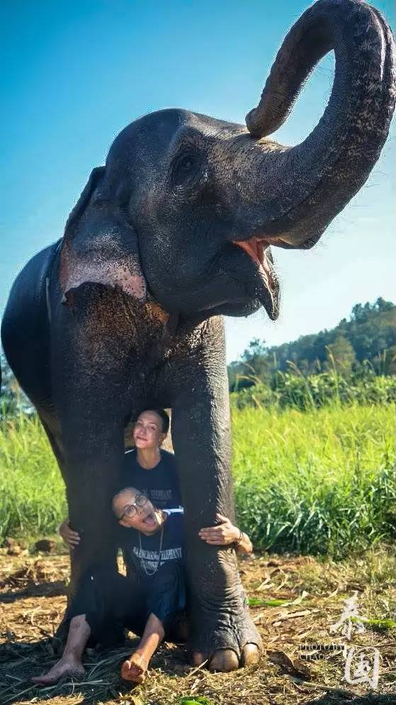 豹和人猜成语是什么成语_疯狂猜成语豹子和人是什么 豹子和人答案 图文攻略(3)