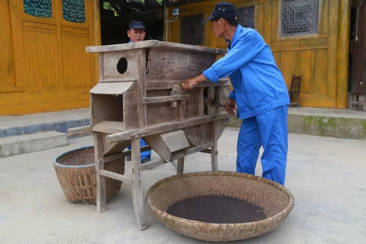 独家探索贵州深山老林里隐藏着正在消失的古法榨油工序堪称全国民间最