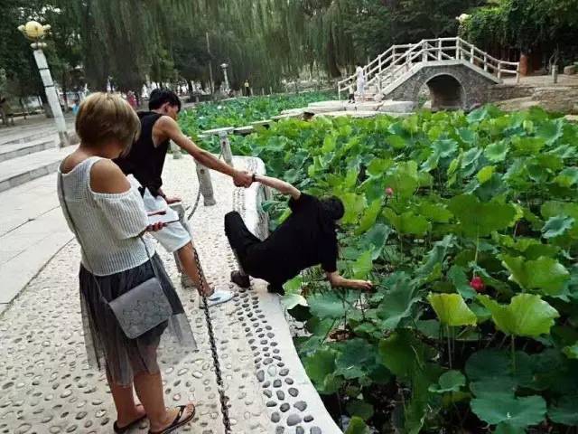 朝阳多少人口_朝阳区 北京市辖区 搜狗百科(3)