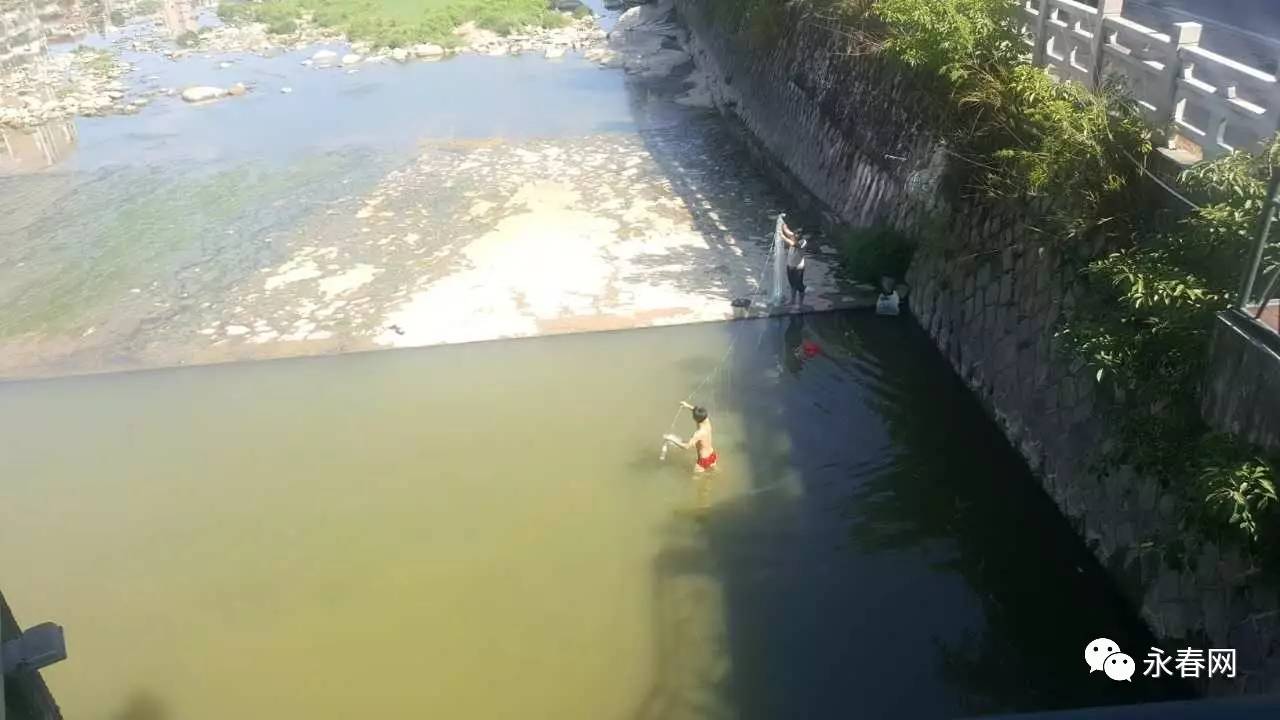 37℃高温下,永春这几个年轻人竟跑到人工湖水闸边干起