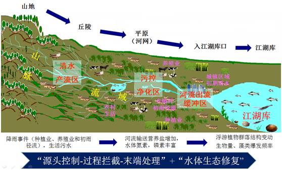 从流域的角度来看,河流通常依次经过清水产流区,污控净化区和出流缓冲