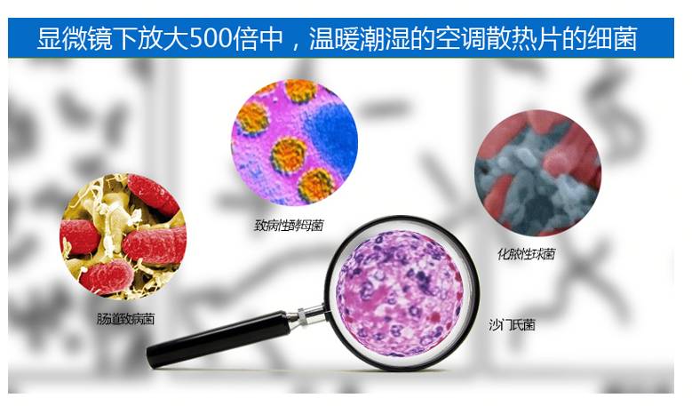 空调长时间不清理,不但影响制冷性能,更易滋生细菌,影响身体健康.