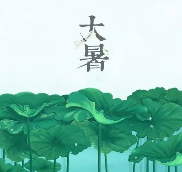 【节气】蝉声起 夏正浓——水车园小学二十四节气课程之大暑