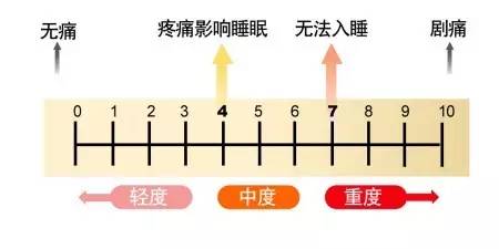 行为疼痛量表(bps) 重症监护疼痛观察工具(cpot) 非语言疼痛评估工具