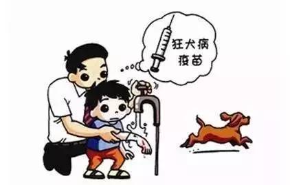 关于狂犬病你不得不了解的事