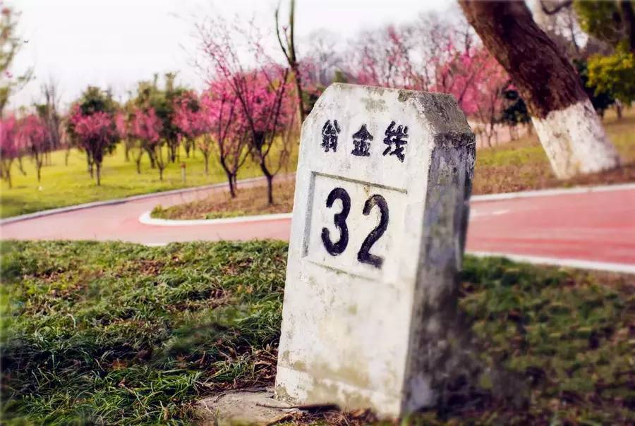 我要过个不一般的周末！有时髦房车，有精致大宅…