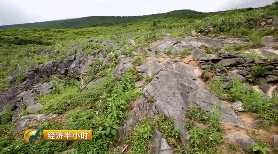 广西岩溶土地现状与石漠化治理模式探析