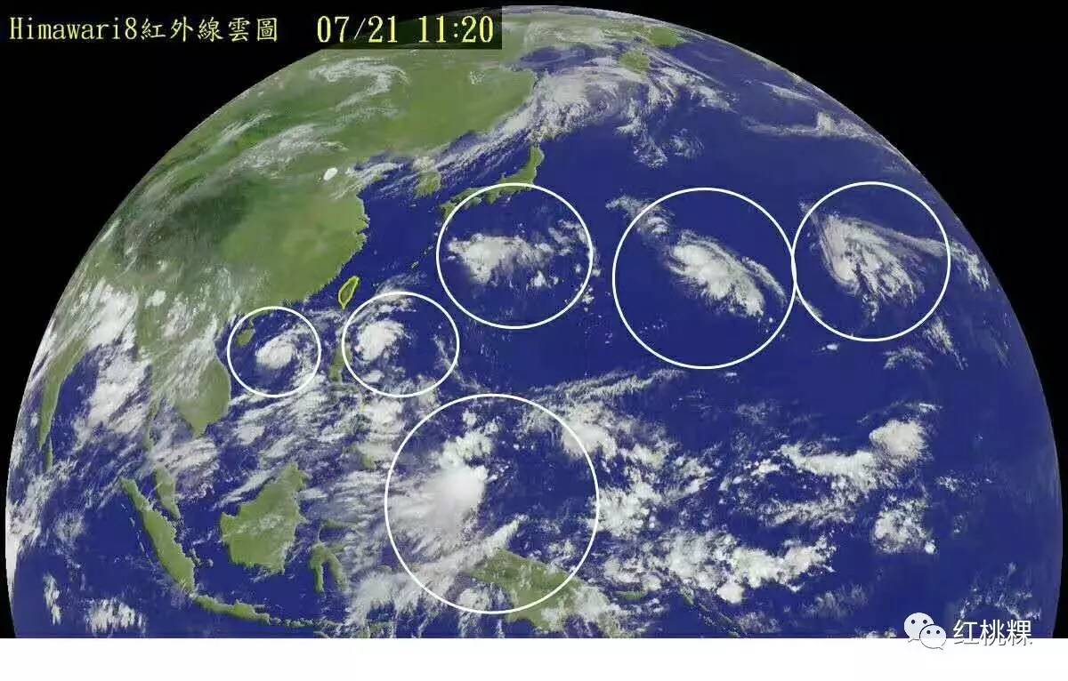 据天气网消息,2017年第6号台风玫瑰即将生成!