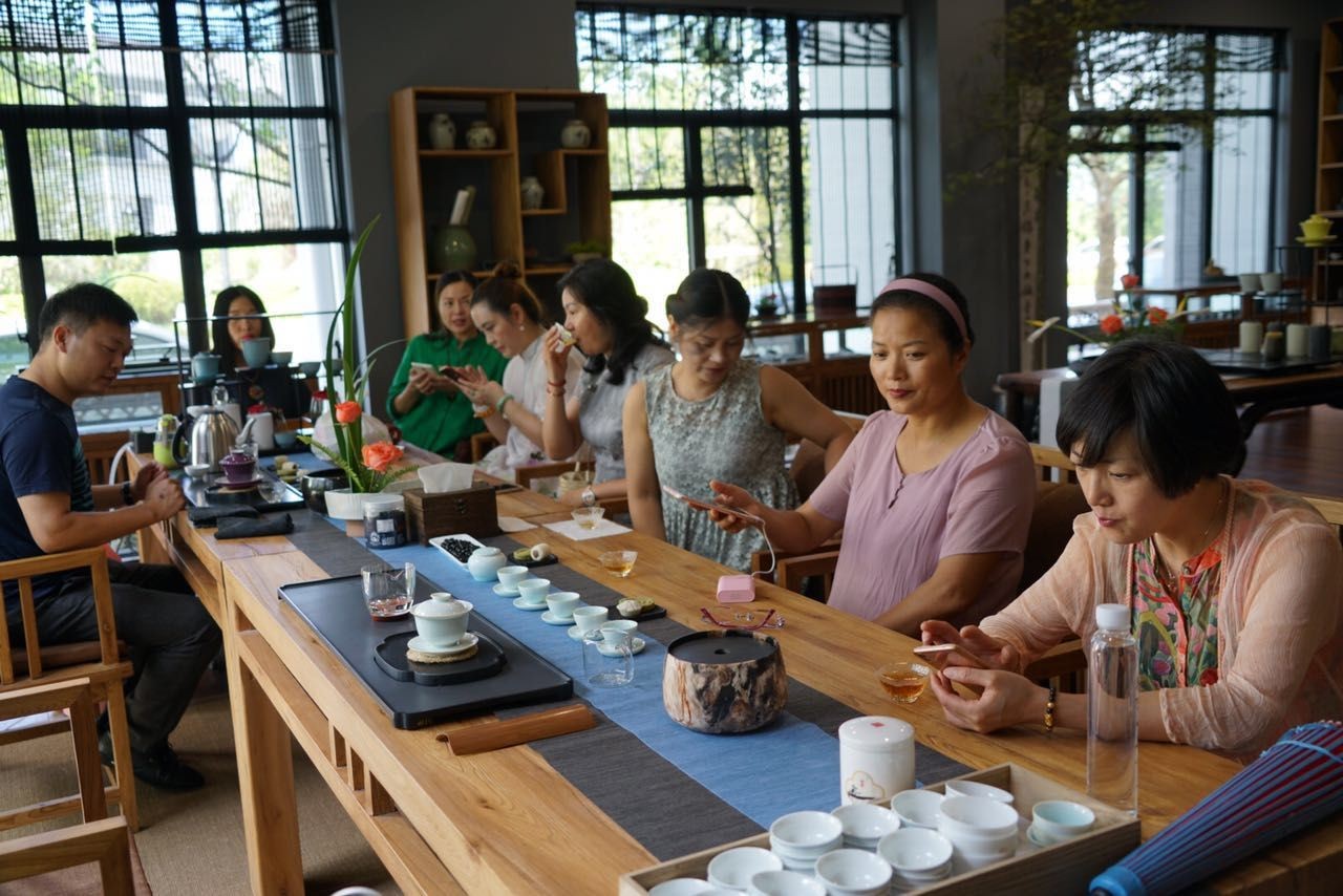 素心61茶会与曼生一同相约在溧阳最美茶园民宿