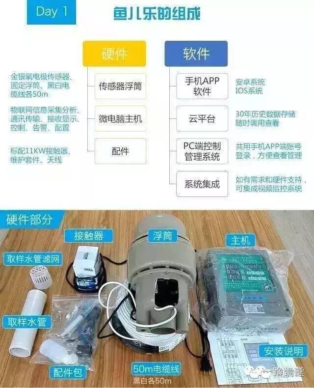 鱼有病了怎么办