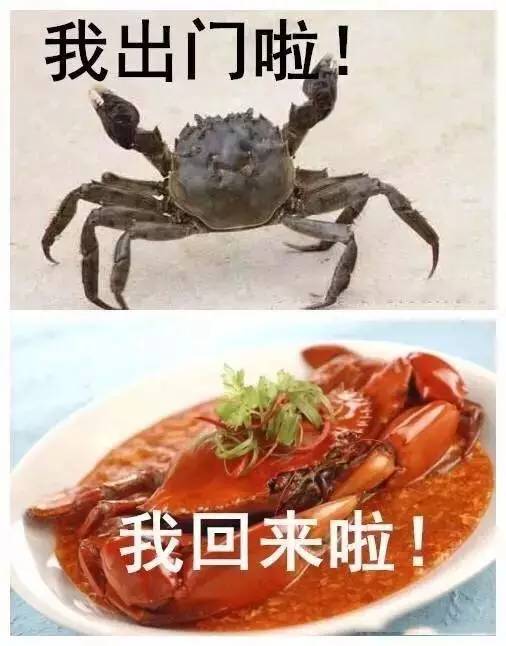 夏天出门前的你 vs 出门后的你!_搜狐搞笑_搜狐网