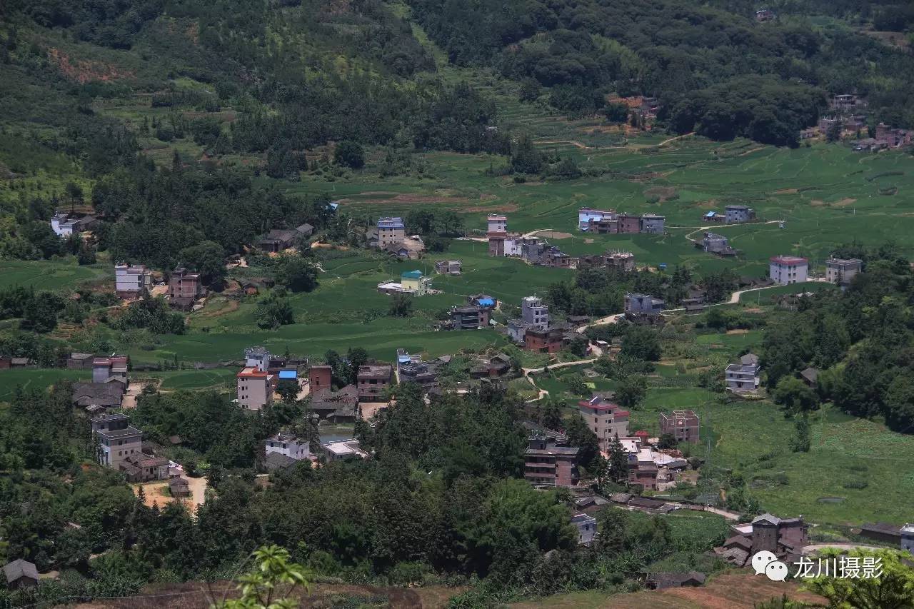 麻布岗小长沙的夏天是一首绿色的诗~家在农村,真好!