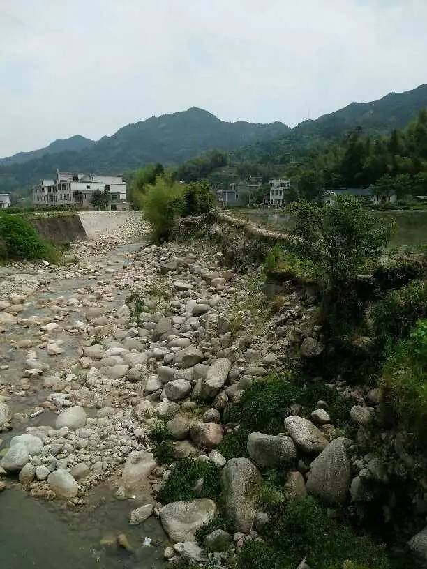 67本地遂川县戴家埔乡淋洋村河堤道路被冲毁村民出行难遂川水利局称