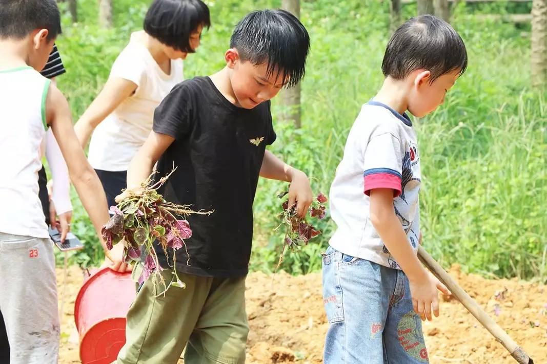 夏令营之农耕种植拓展训练项目介绍