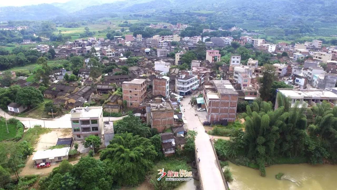 马岗村人口_马岗鹅苗图片