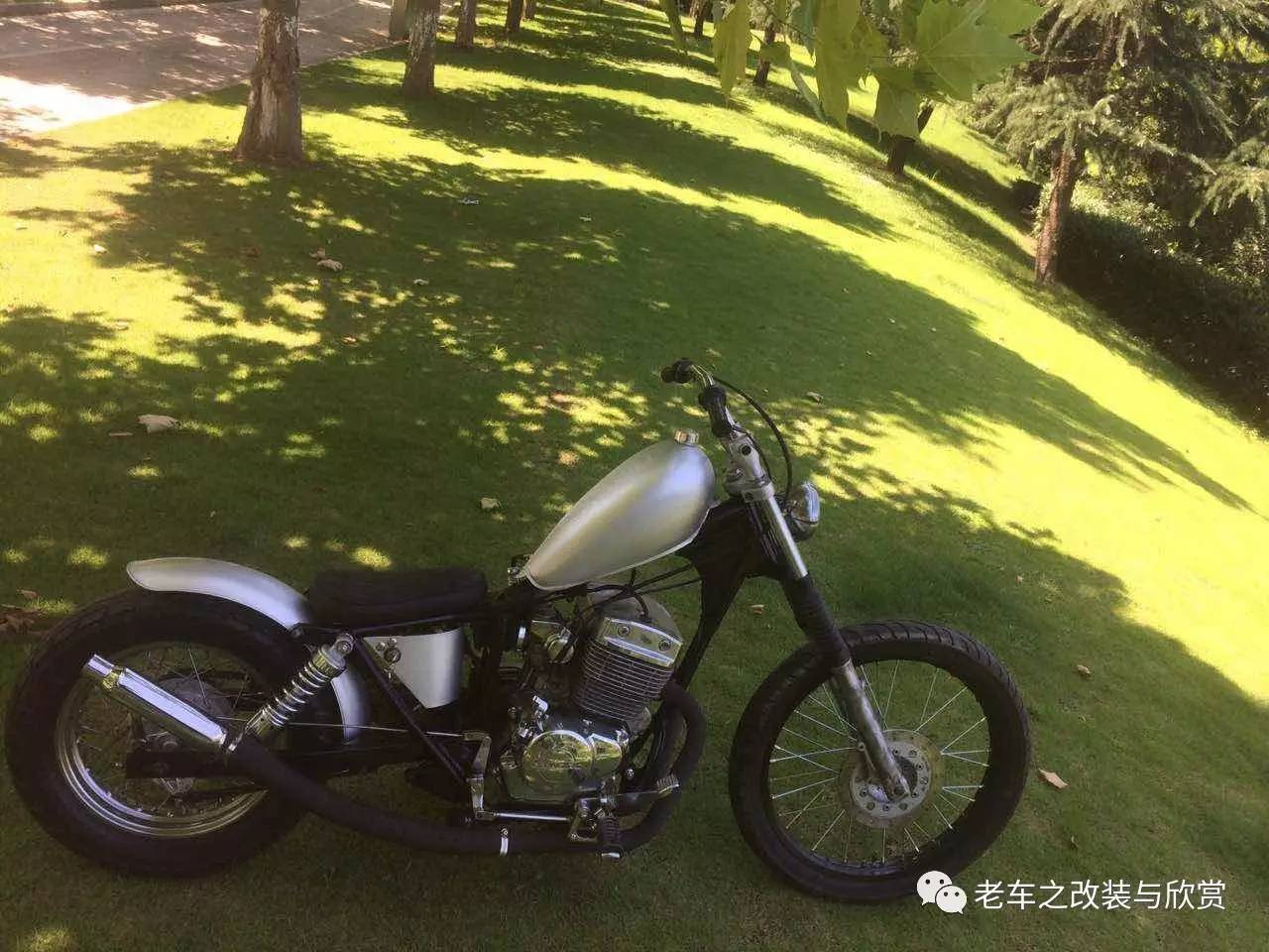 车友出售--新大洲250改装bobber