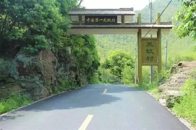 路线:安吉县城—孝丰镇—夏阳村 在这个用鹅卵石砌成的老围墙的小