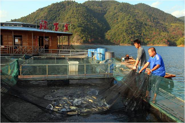 5亿立方米,枫树坝东江源鱼基地—水库水深一百多米,专业经营管理.