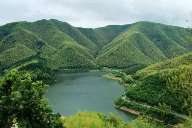 夏阳村