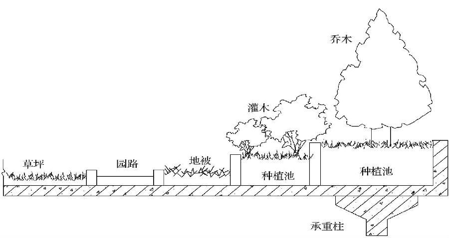 屋顶绿化植物种植池处理方法示意图