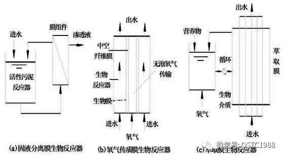 生物工程的基本原理_《发酵原理(第2版)》适合于生物工程、生物技术专业的高年级本科生使用(2)