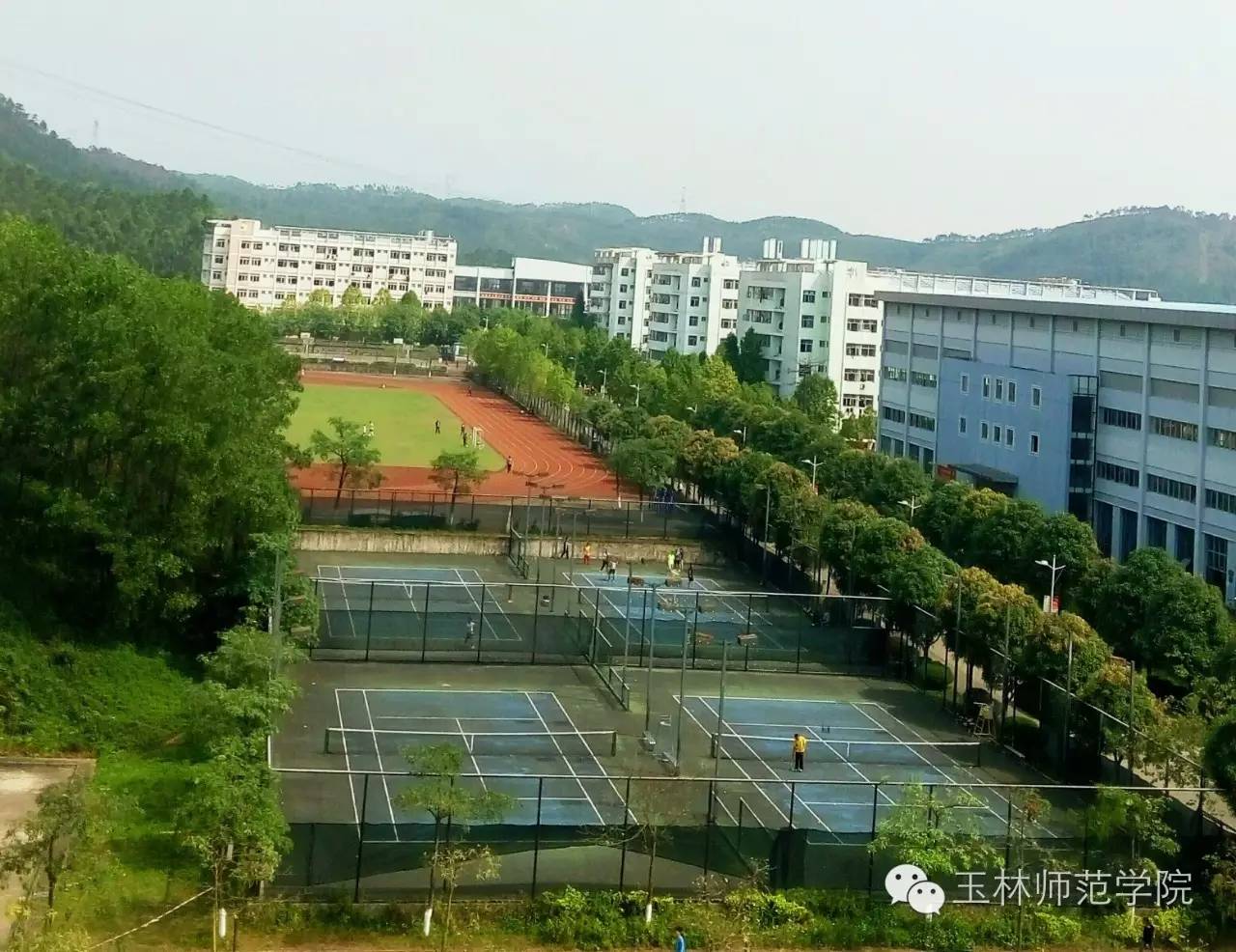 玉林师范学院2017年广西征集志愿专业及计划数