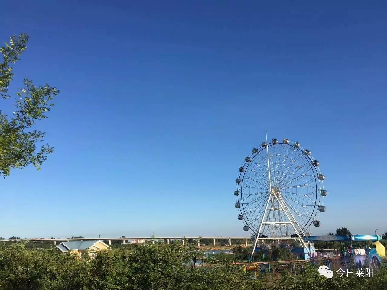 大美"莱阳蓝"刷爆朋友圈!今天你抬头看天空了吗.