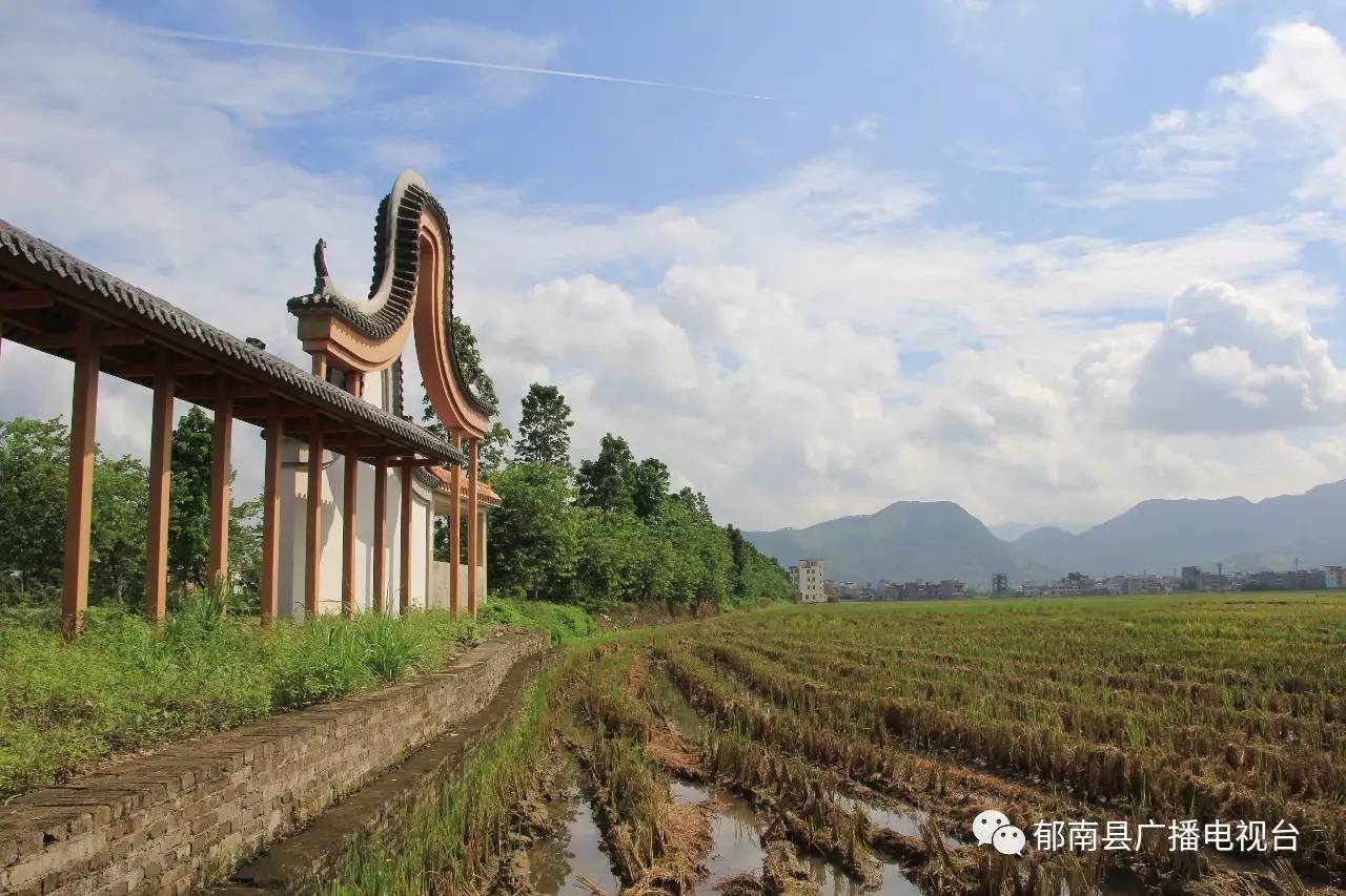 【推荐】黄皮节绝不能错过的郁南旅游地图