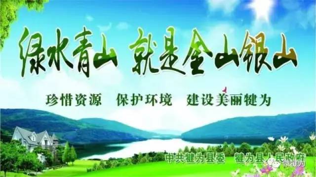 高圆圆黑色长款大衣怎么搭