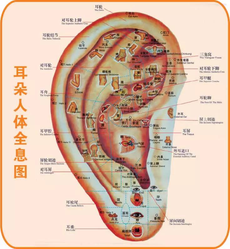 牙疼引起耳朵疼怎么办