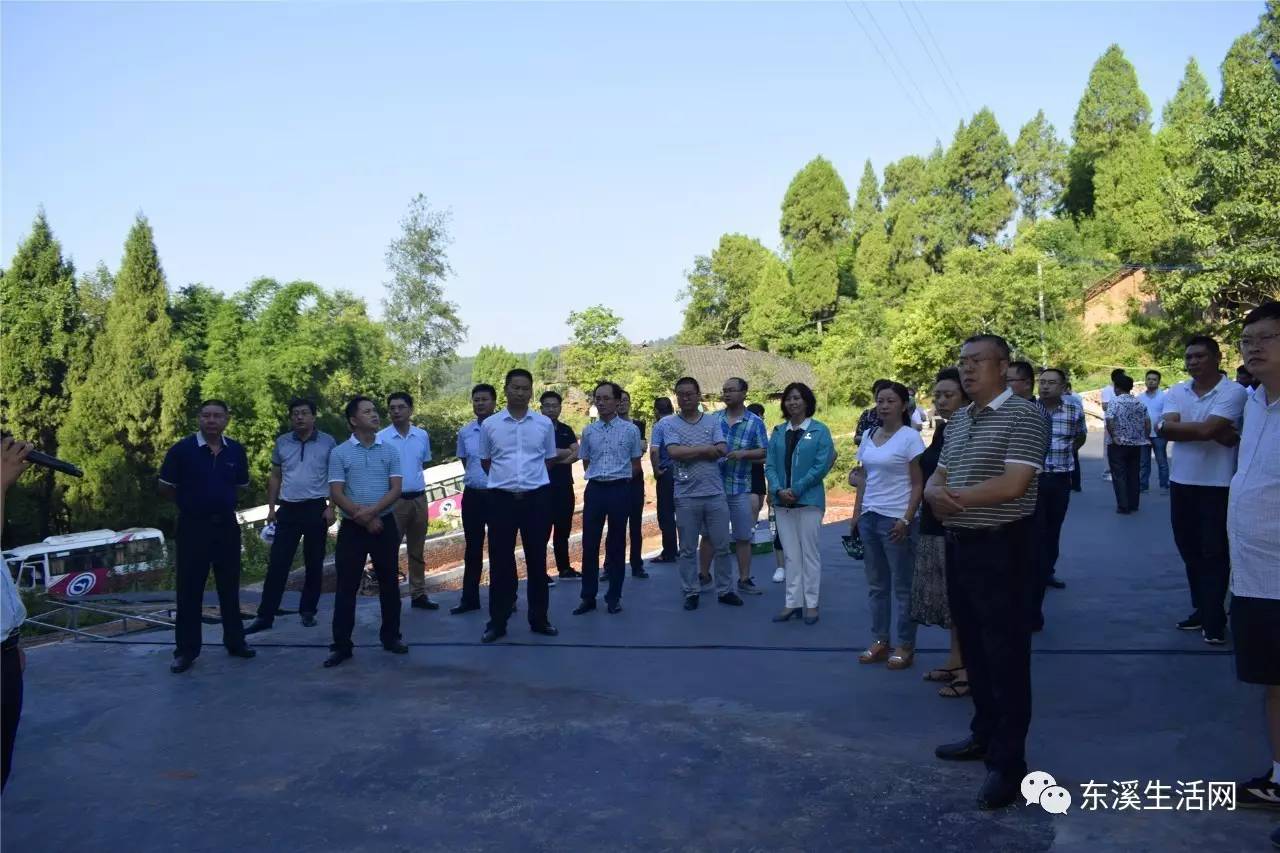 广元市苍溪县人大常委主任冯明带队视察东溪,桥溪,石灶,高坡,龙洞等