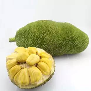 菠萝蜜是热带水果,又名木菠萝,也是世界上最重的水果,一般重达5-20