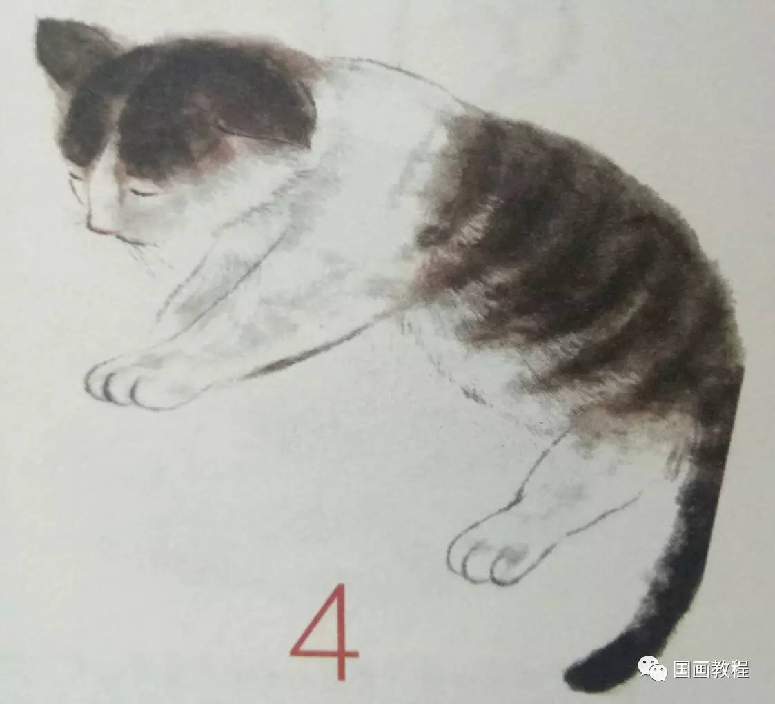 怎么样画猫