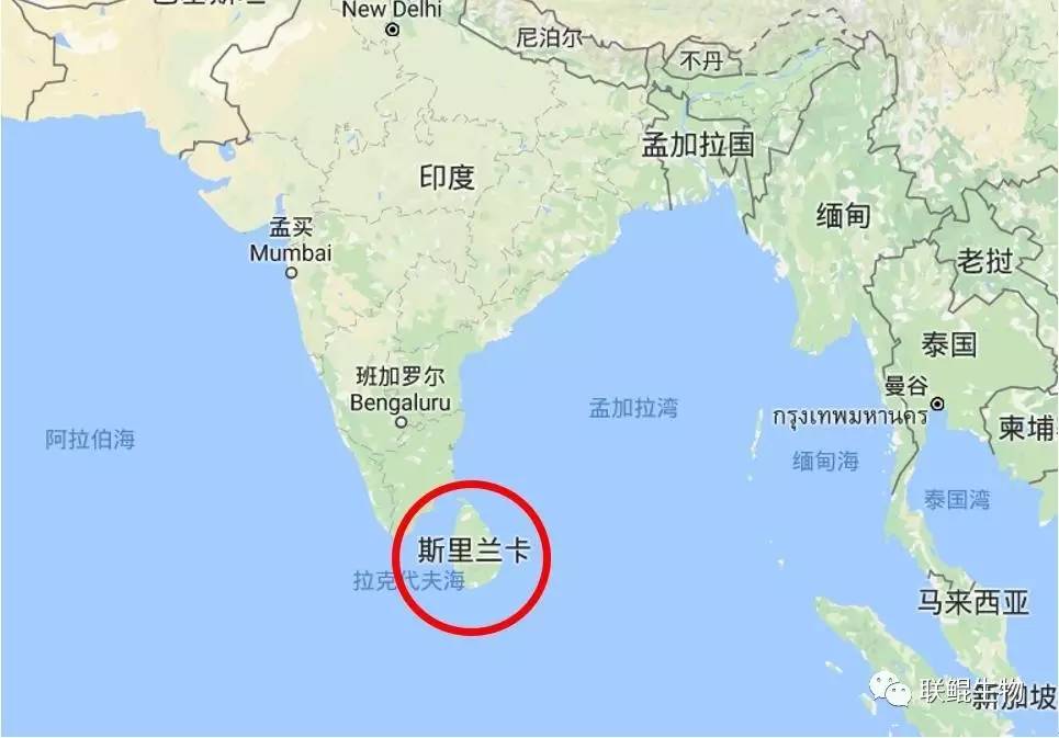 斯里兰卡国土面积人口_斯里兰卡地图-港口城项目是中斯关系的试金石