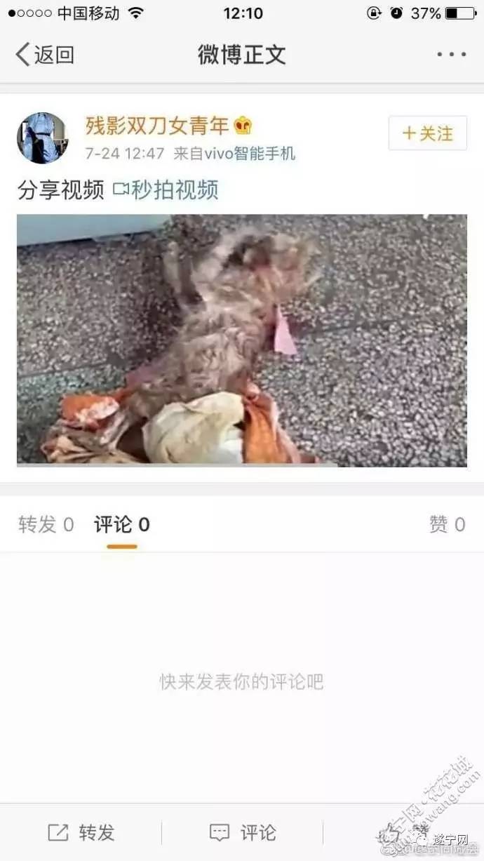 丧心病狂:网上流传虐猫的视频遭人肉 微博地址竟是遂宁的!