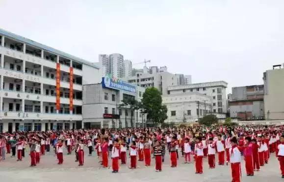 柳州市柳石路第二小学柳州市公园路小学柳州市雀儿山路小学柳州市特殊