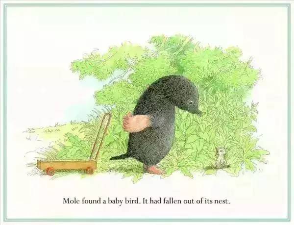 【有声绘本】《mole and the baby bird》鼹鼠和小鸟——最后的疼爱是