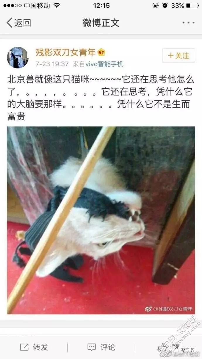 丧心病狂:网上流传虐猫的视频遭人肉 微博地址竟是遂宁的!