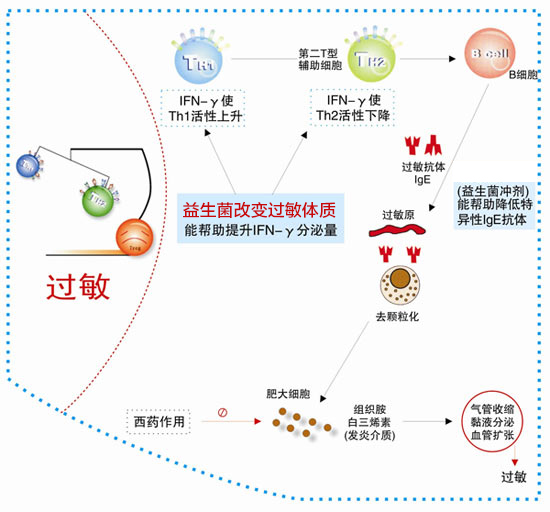 过敏反应多与ige抗体有关.荨麻疹之症状特征