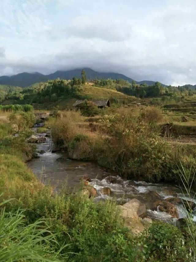 旅游资讯龙新乡出好三张牌助力乡村旅游发展