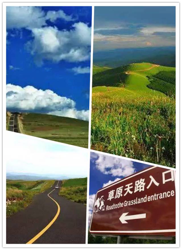 中国的66号公路——张北最美"草原天路