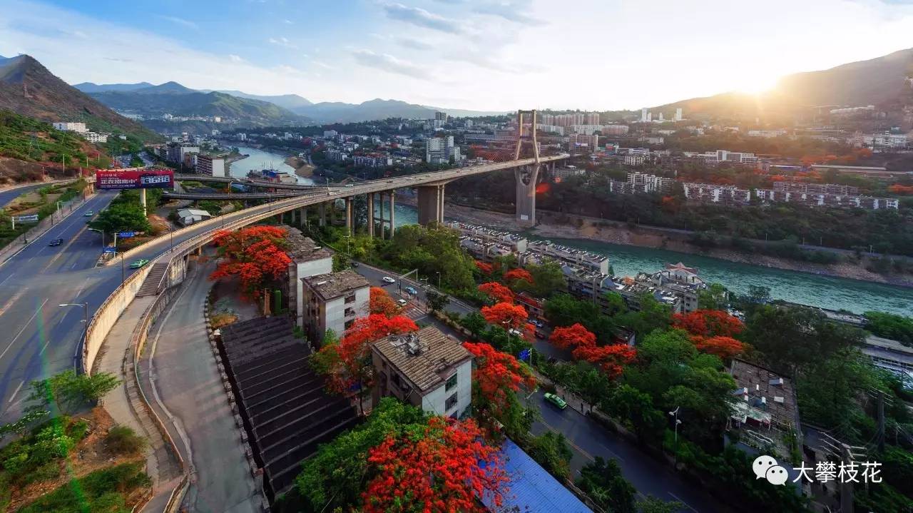 四川各大城市的国际姐妹城竟是这些!攀枝花的"国际姐妹"居然是