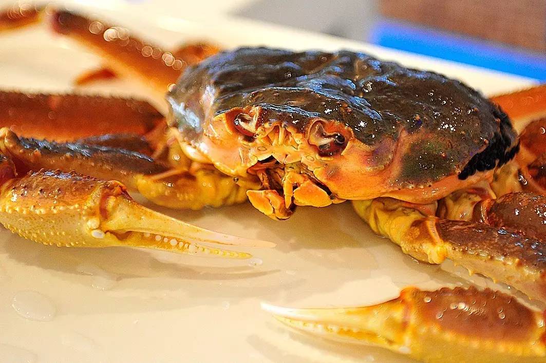 俄罗斯深海鳕蟹天天鲜活直播更逆天的是从几百块钱到几块钱的高档料理